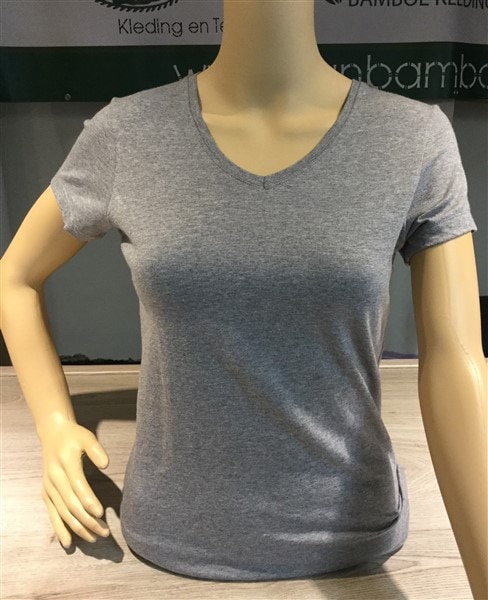 Dierentuin Uitstralen Vulkanisch Bamboe dames V-hals t-shirt grijs • Van Bamboe